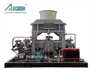 Compressor DF-0.45/(8-10)-250 CNG 